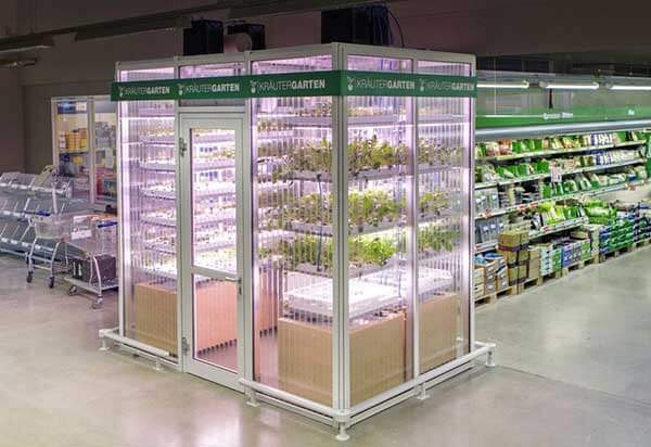 Infarm kebun di supermarket metro berlin