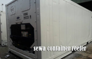 Sewa Container Reefer