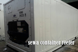 Sewa Container Reefer