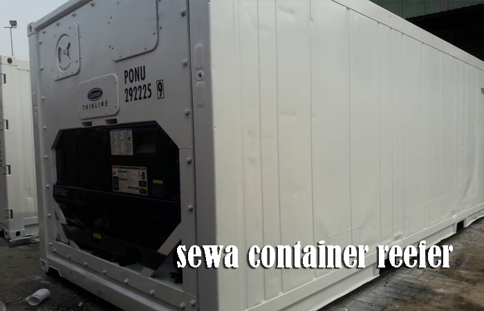 Sewa Container Reefer