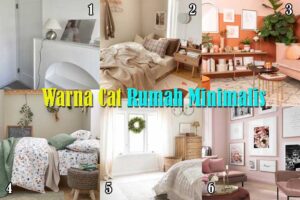 Warna Cat Rumah Minimalis