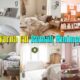 Warna Cat Rumah Minimalis