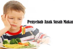Penyebab Anak Susah Makan