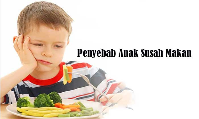 Penyebab Anak Susah Makan