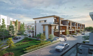 eco town