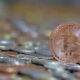 aplikasi crypto
