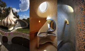 The Nautilus House