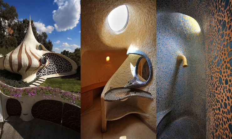 The Nautilus House